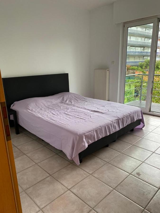 Superbe Appartement Lumineux Et Spacieux Antwerp Luaran gambar